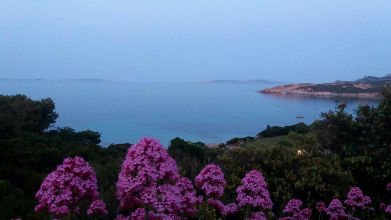 Appartamento Fronte Mare Santa Teresa Gallura Exterior photo